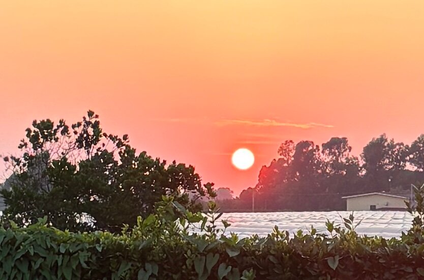 Agriturismo Acquachiara-泳池