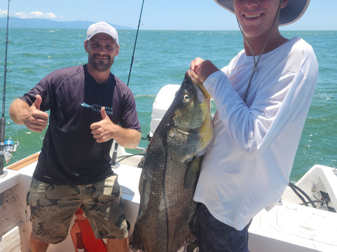 Vikingo Charters-瓦拉塔港必去景点