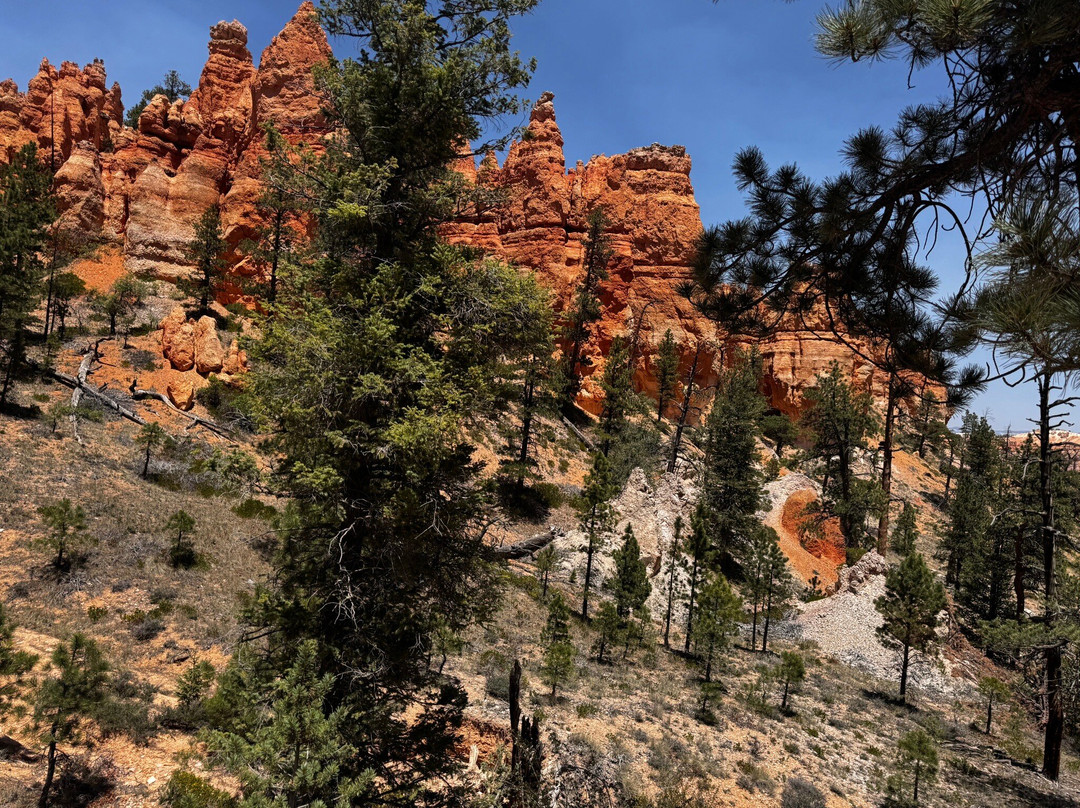 Red Canyon Trail Rides-布莱斯峡谷国家公园必去景点