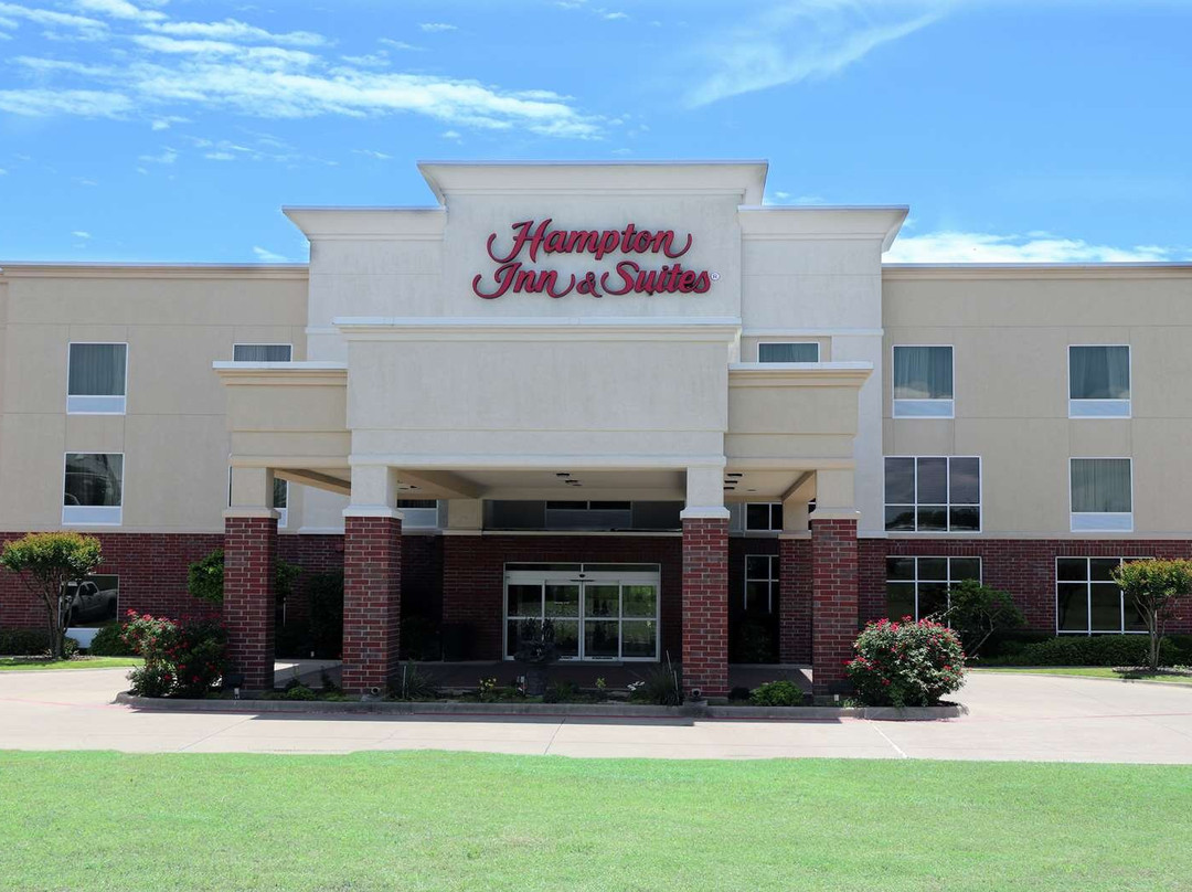 Carlton酒店住宿-Hampton Inn & Suites Stephenville