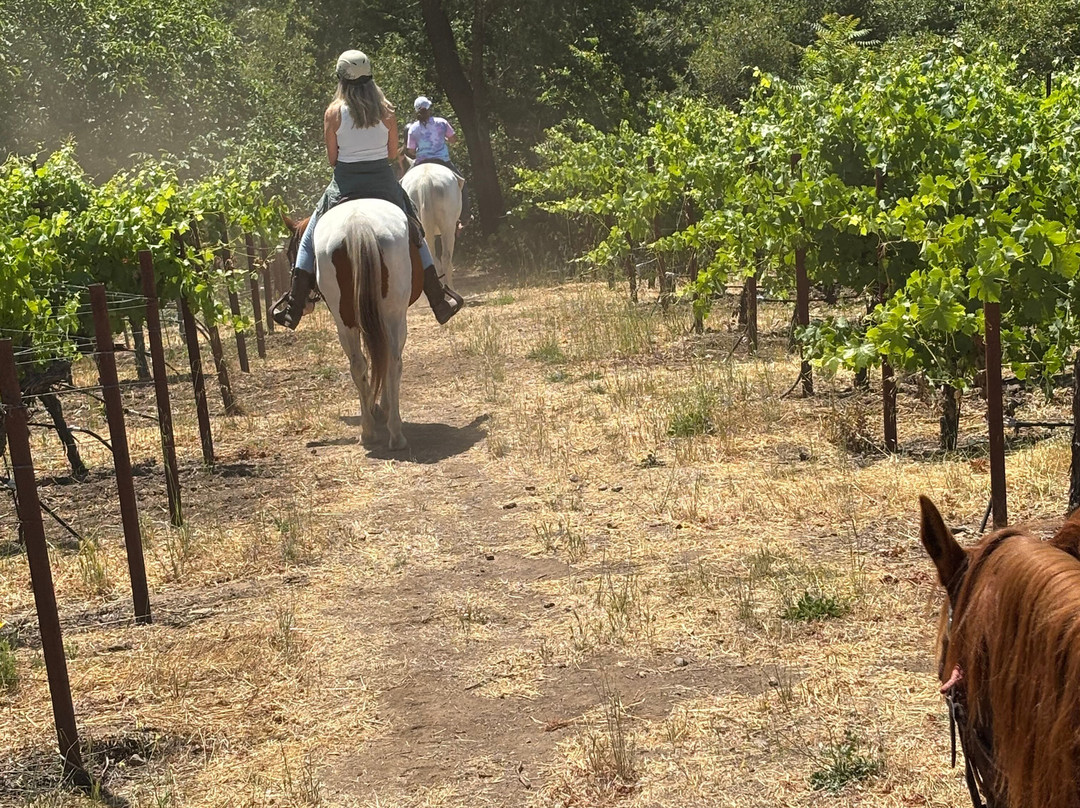 Sonoma Valley Trail Rides-索诺玛必去景点