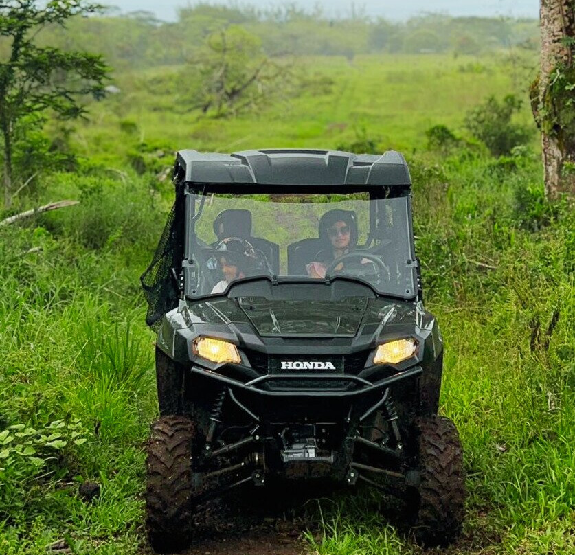 Ohana Ranch-山景城必去景点