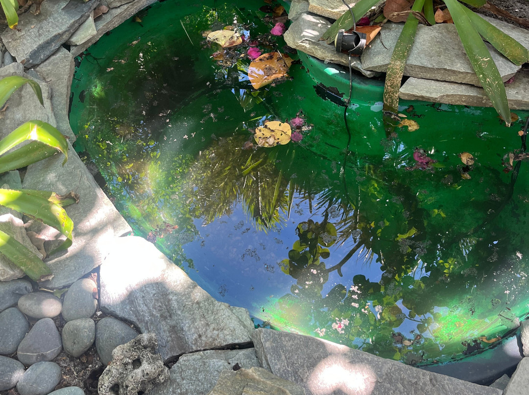 The Desoto Inn主图