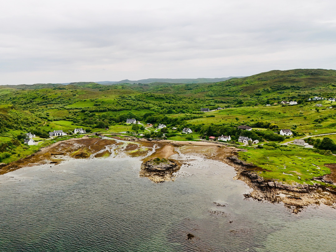 Thistles On Skye主图