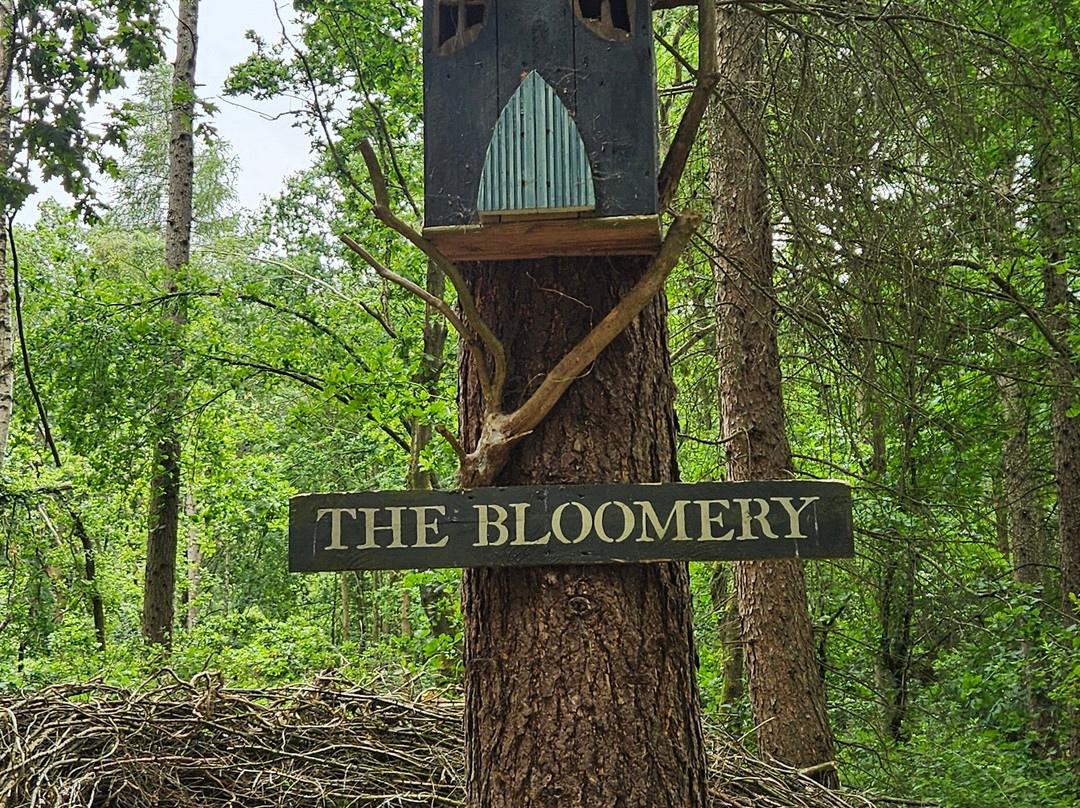 Northwood Trail – England’s Fairy Sanctuary-约克必去景点