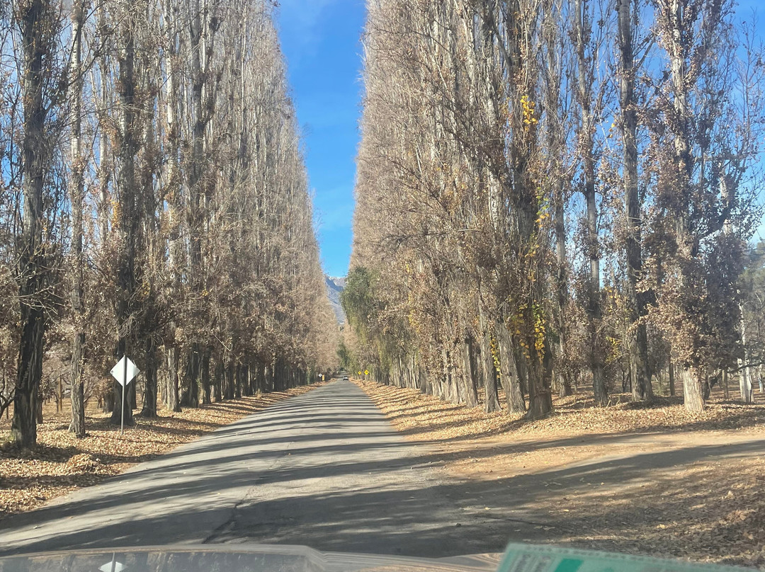 Termas El Corazon主图