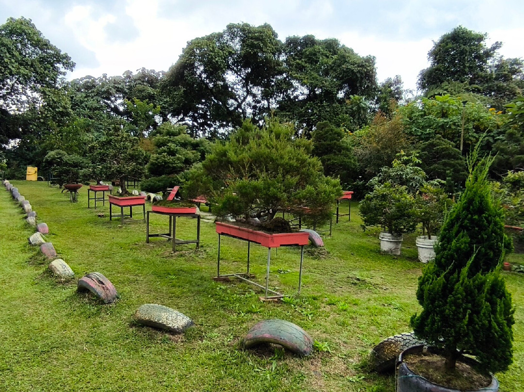 Ecoparque Los Yarumos-Manizales必去景点