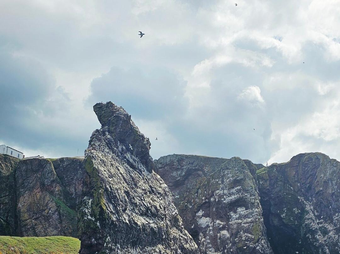 Eyemouth Rib Trips-Eyemouth必去景点