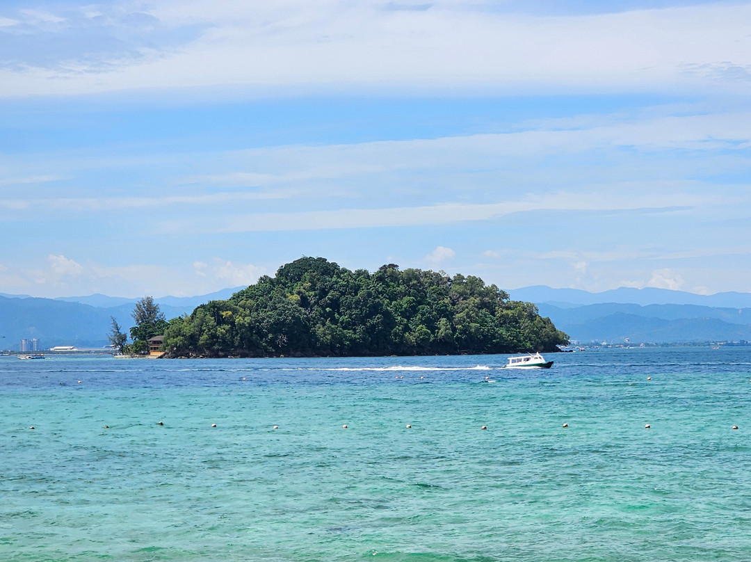 哲斯顿港码头-亚庇必去景点