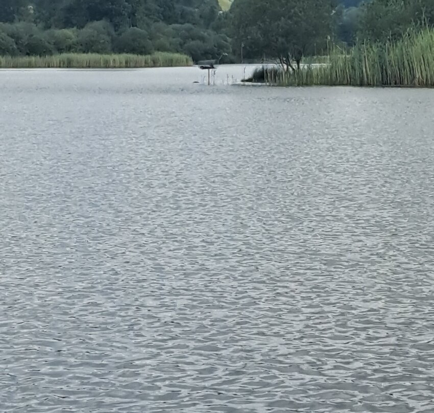 Esthwaite water trout fishery-Hawkshead必去景点