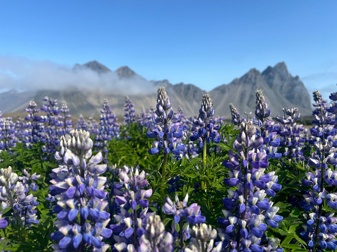 Vestrahorn-赫本必去景点