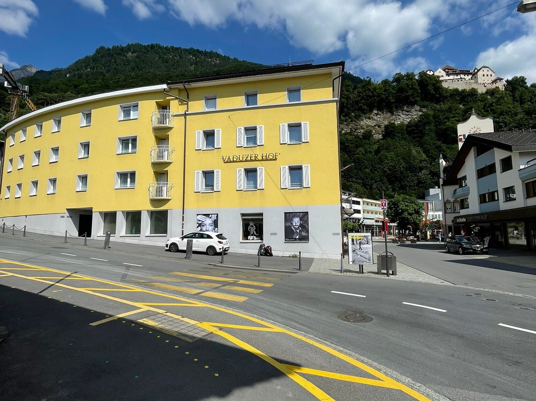 Hotel Vaduzerhof主图