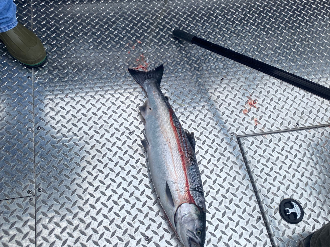 Baranof Fishing Excursions-凯奇坎必去景点