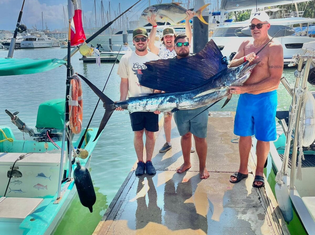 Golondrina 2 Tours-Boca de Tomatlan必去景点