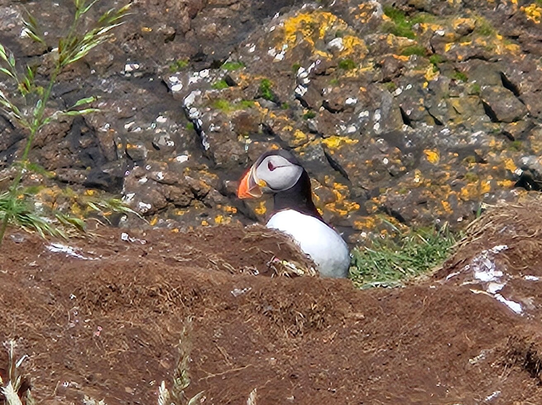 Staffa Tours-Isle of Iona必去景点