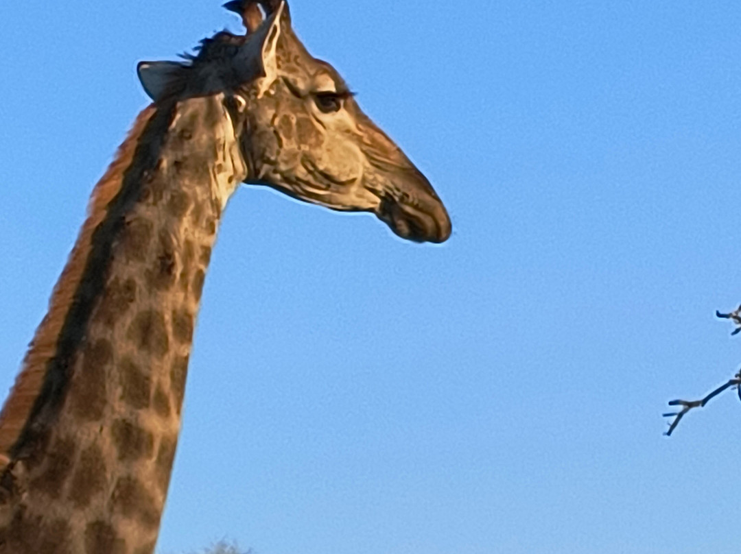 Discover Kruger Safaris-库马堤港必去景点