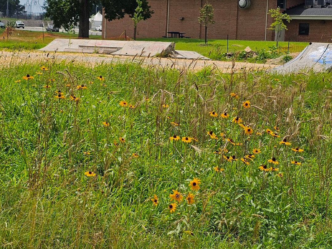 Ledgewood Zoo-Edgewood必去景点