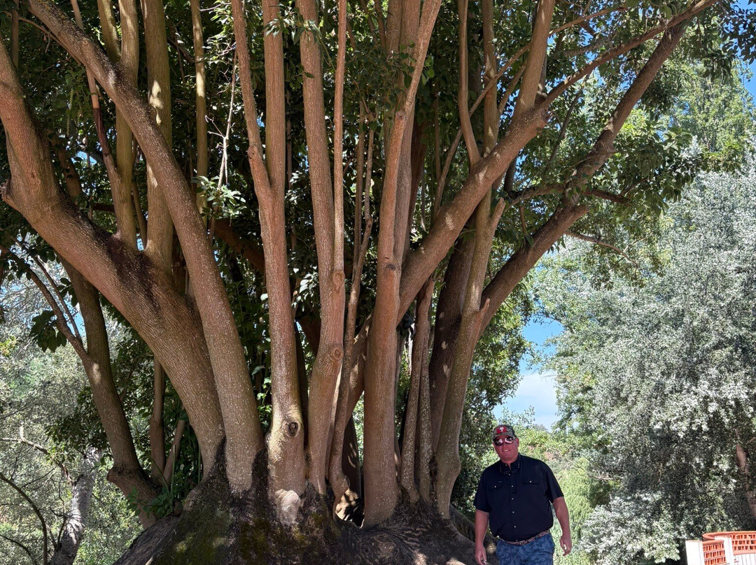 Gamma Expeditions-里斯本必去景点