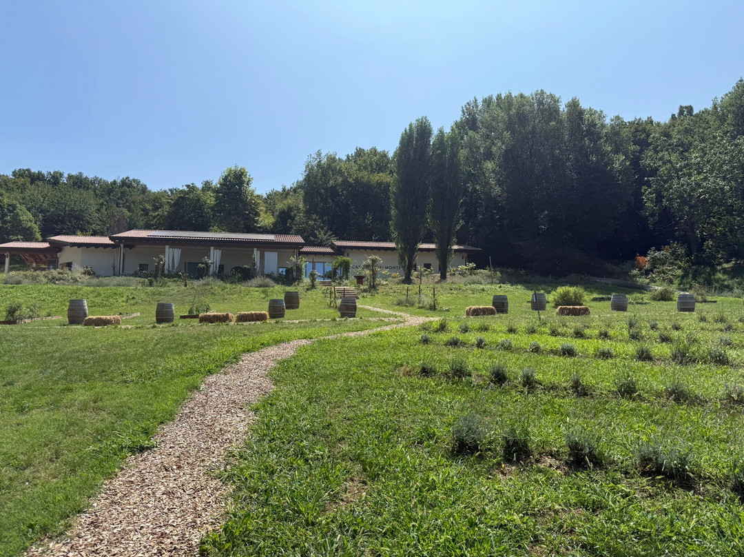 Cascina Belmonte-Muscoline必去景点