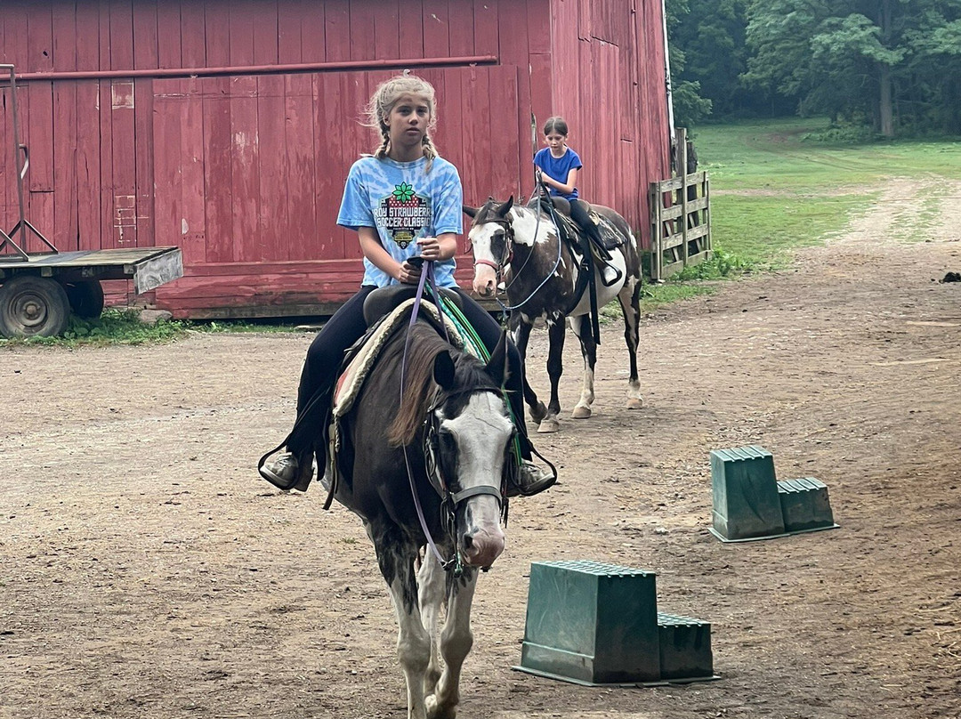 Marmon Valley Farm-Zanesfield必去景点