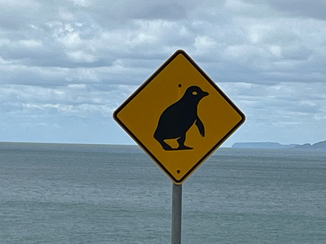 Godfreys Beach-斯坦利必去景点