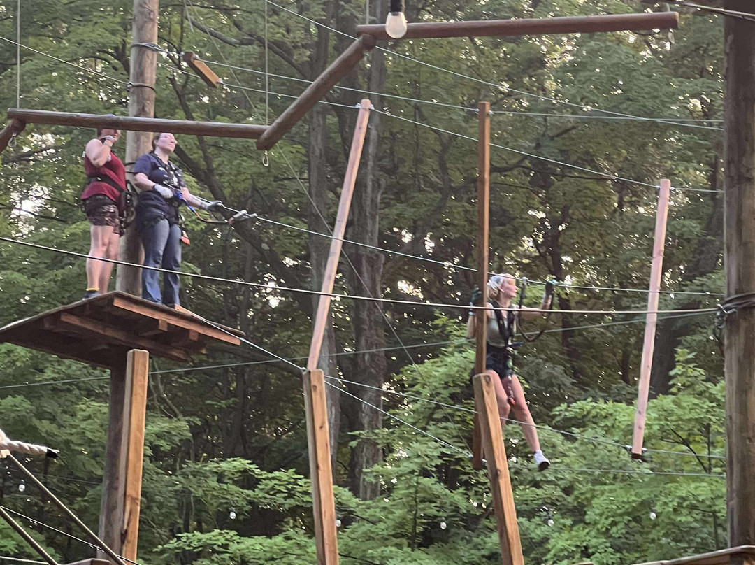 TreeRunner Grand Rapids Adventure Park-大急流市必去景点