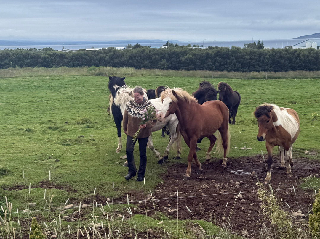 Dalahestar-布扎达吕尔必去景点