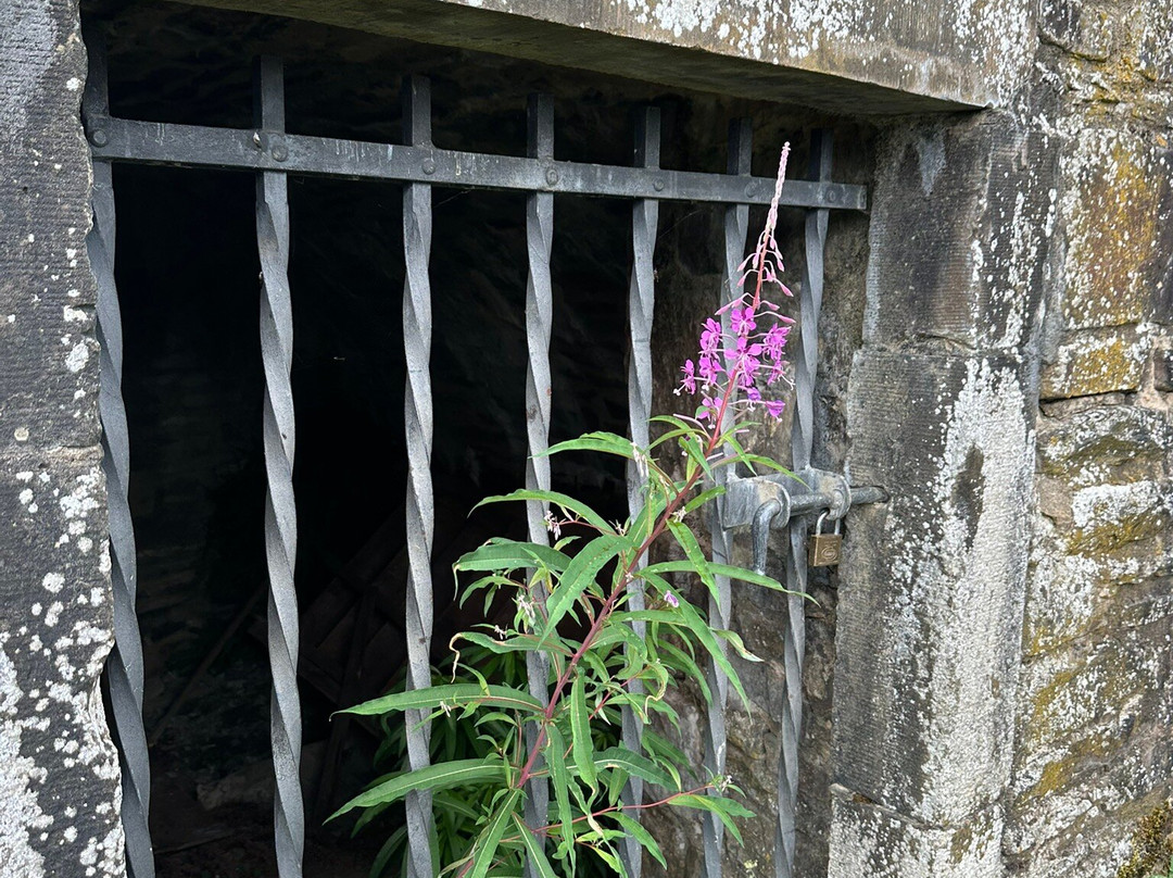 Burg Reifferscheid-Hellenthal必去景点