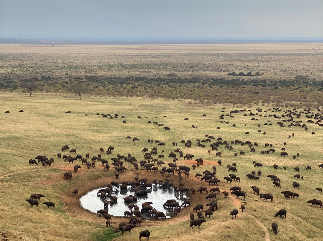 Alex Safaris-山祖必去景点