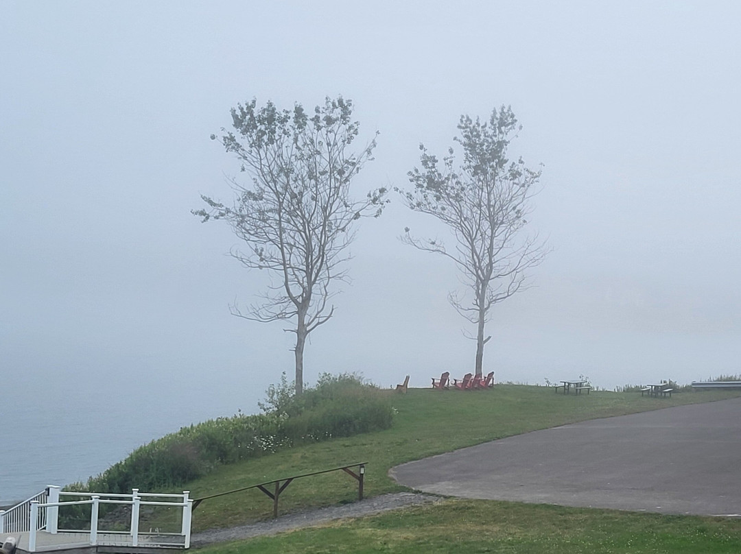 Clipper Shipp Beach Motel主图