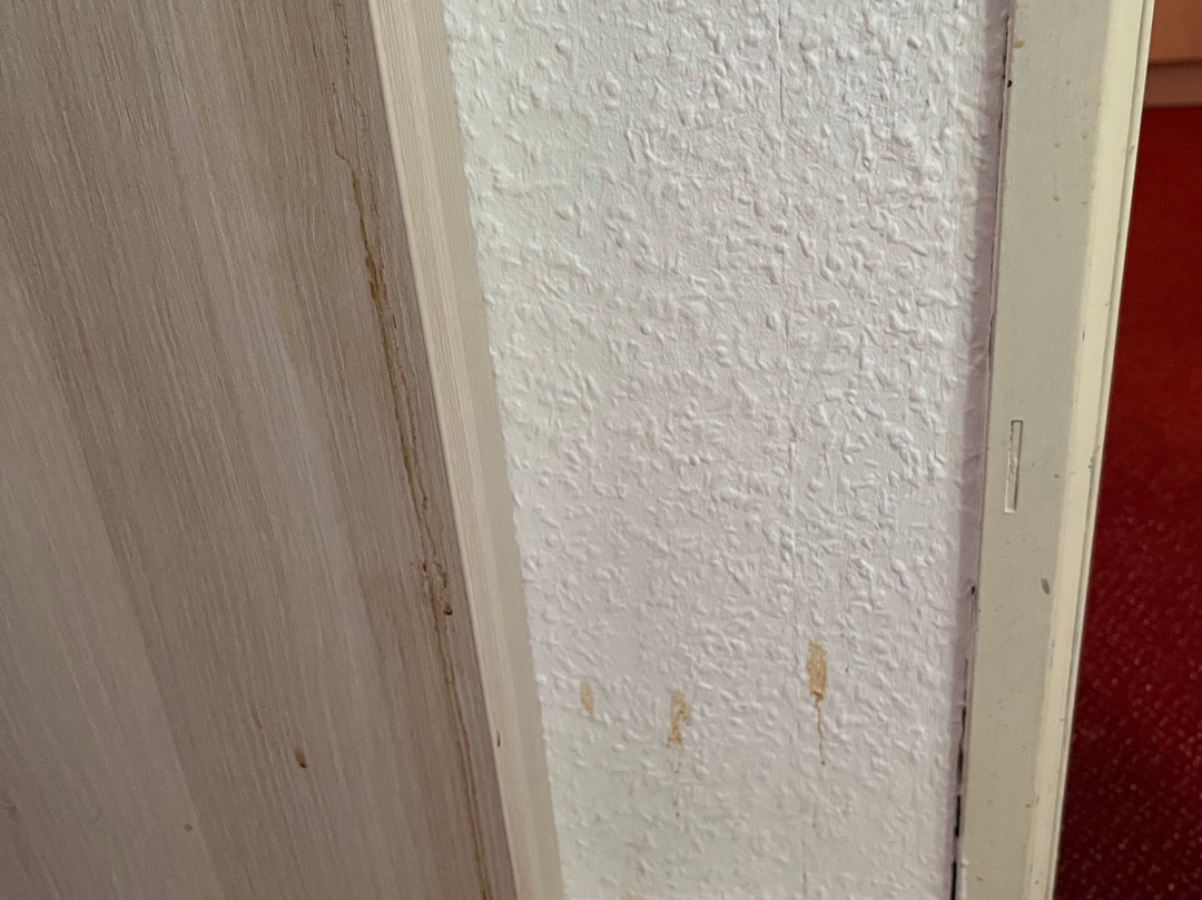 Hotel Harsshof主图