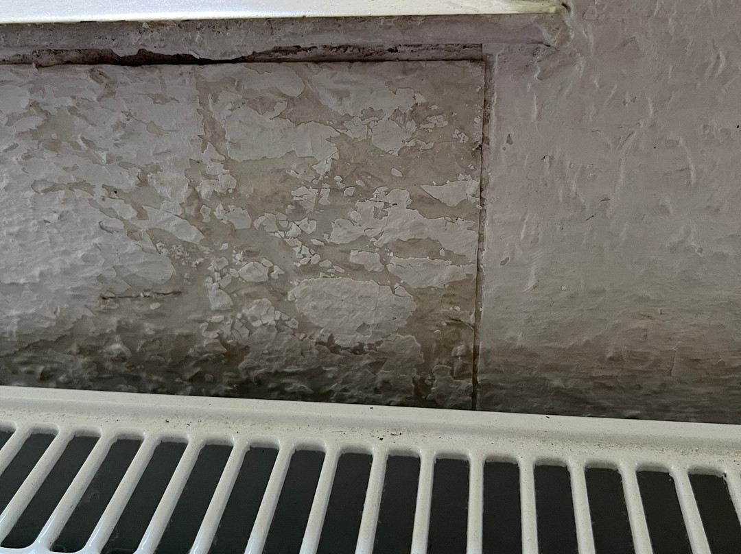 Hotel Harsshof主图