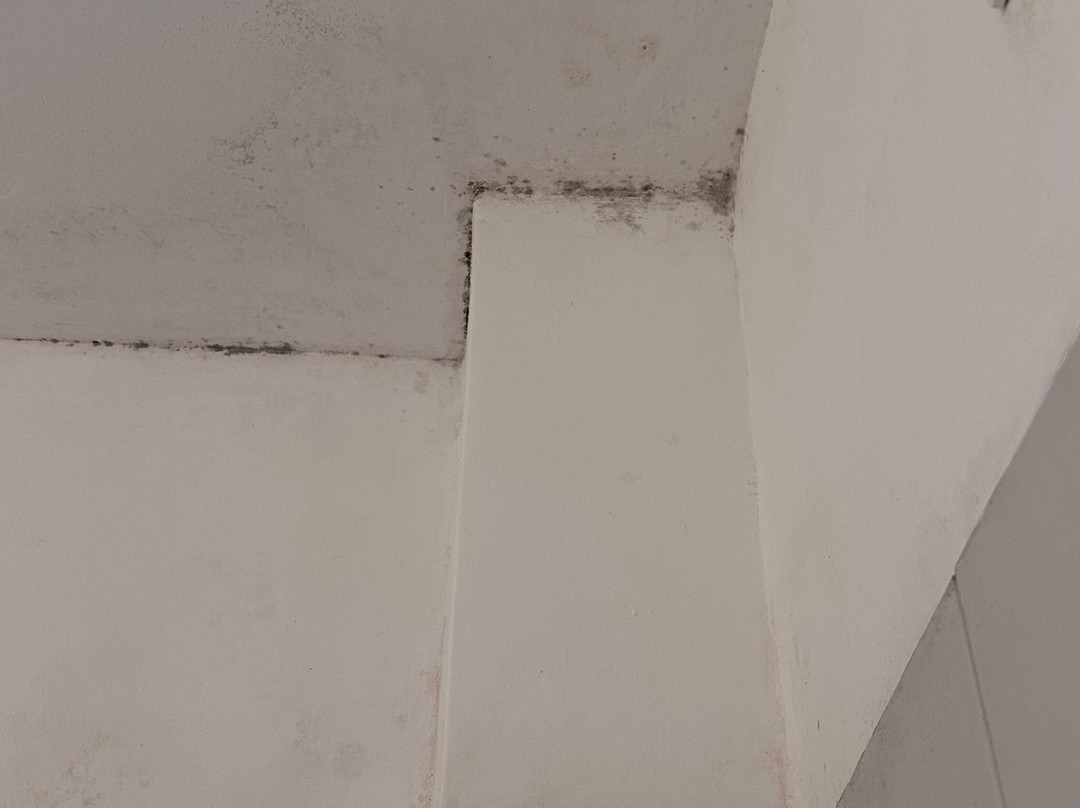 福丽科孚酒店式公寓主图