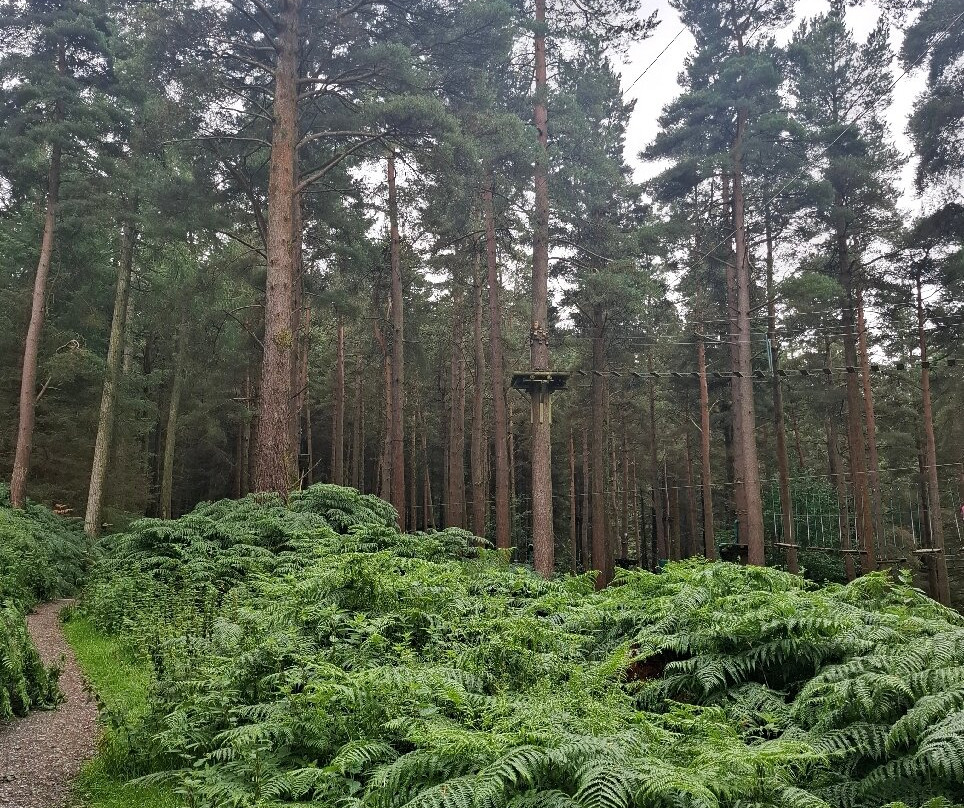 Dublin Mountains Way-塔拉必去景点