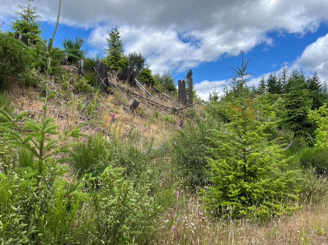 Vance Creek Railriders-Shelton必去景点