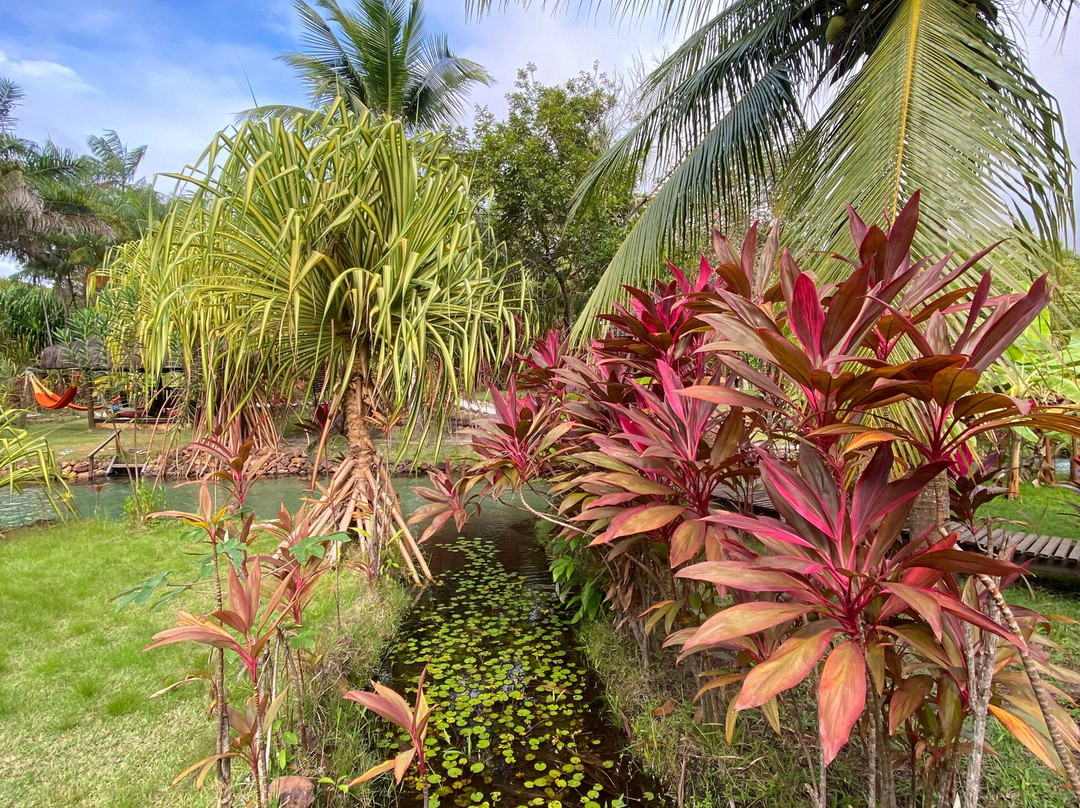 Tao Paradise-Pureza必去景点