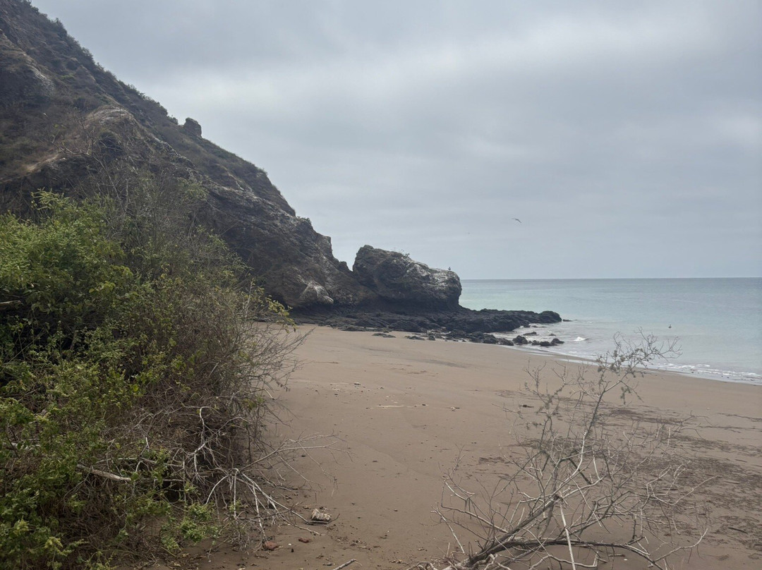Isla de la Plata-Machalilla National Park必去景点