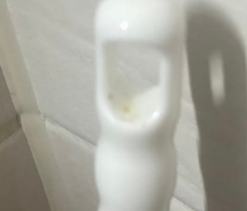 多洛雷斯酒店主图