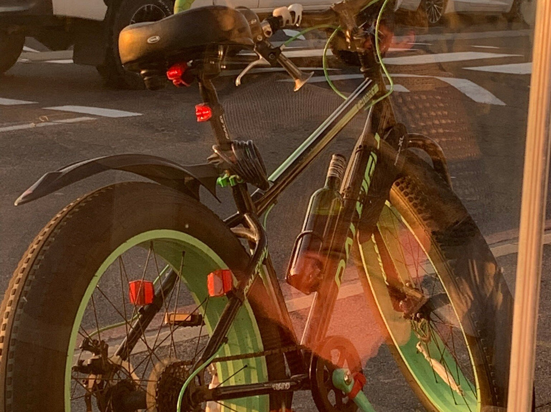 Melkbosstrand Beach-乳木滩必去景点