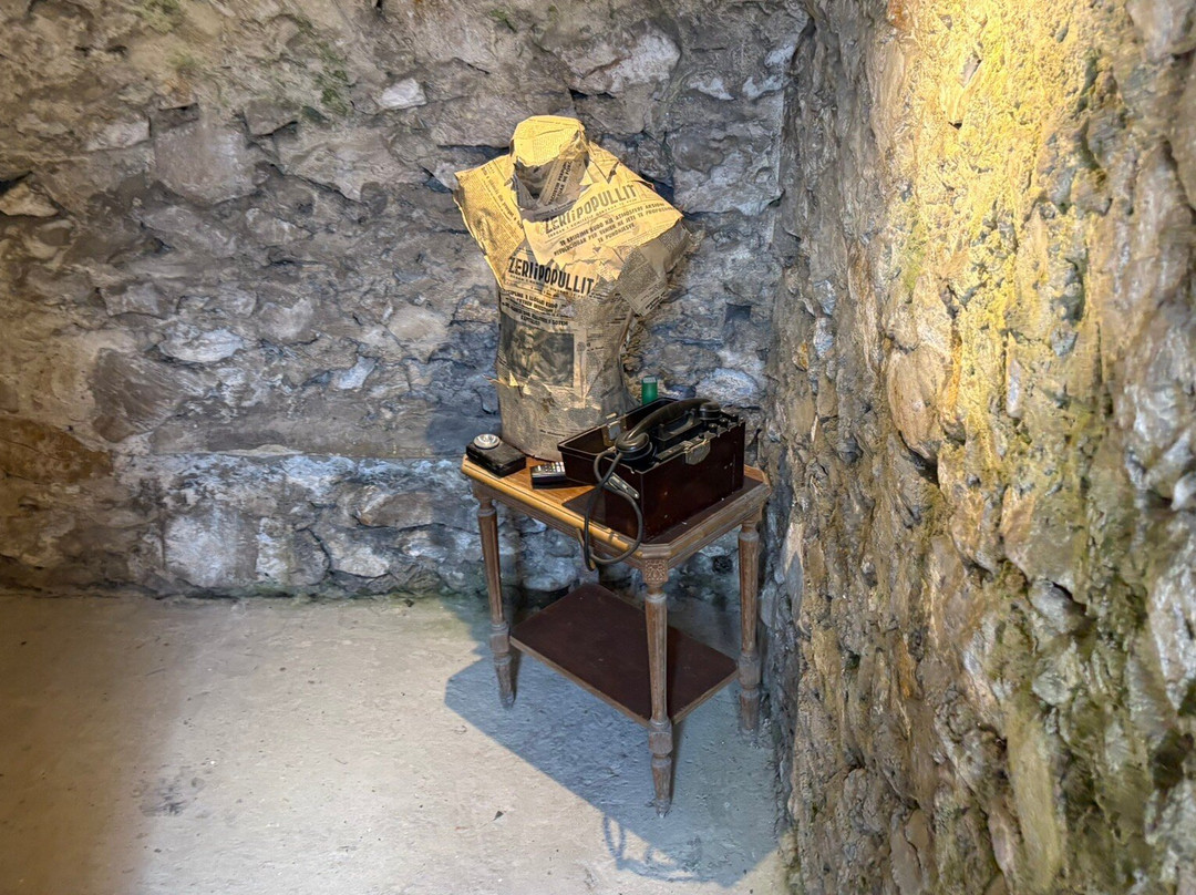 Peeping Tourists-杜勒斯必去景点