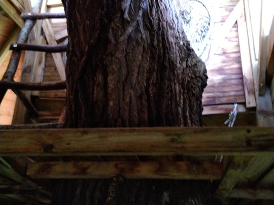 Chateau du Val d'Arguenon主图