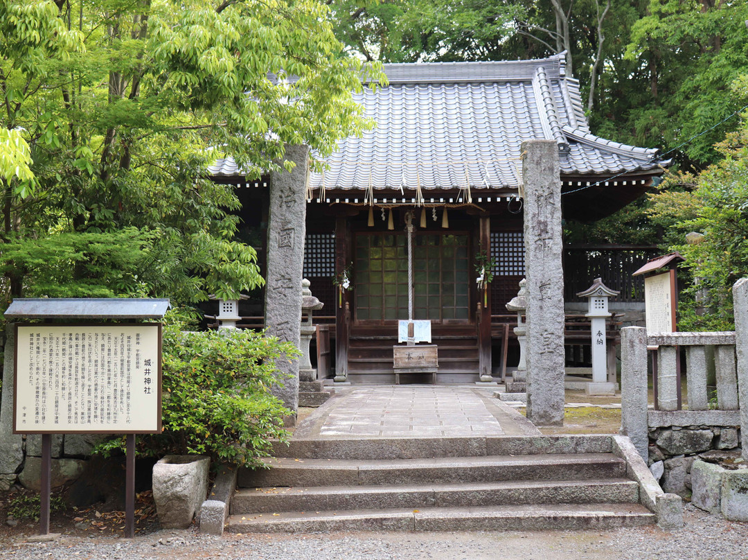 Kii Shrine-中津市必去景点