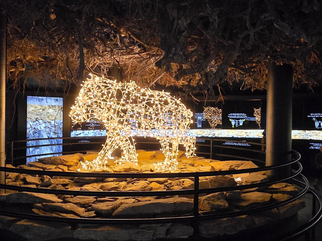 Stezka v oblacich-Dolni Morava必去景点