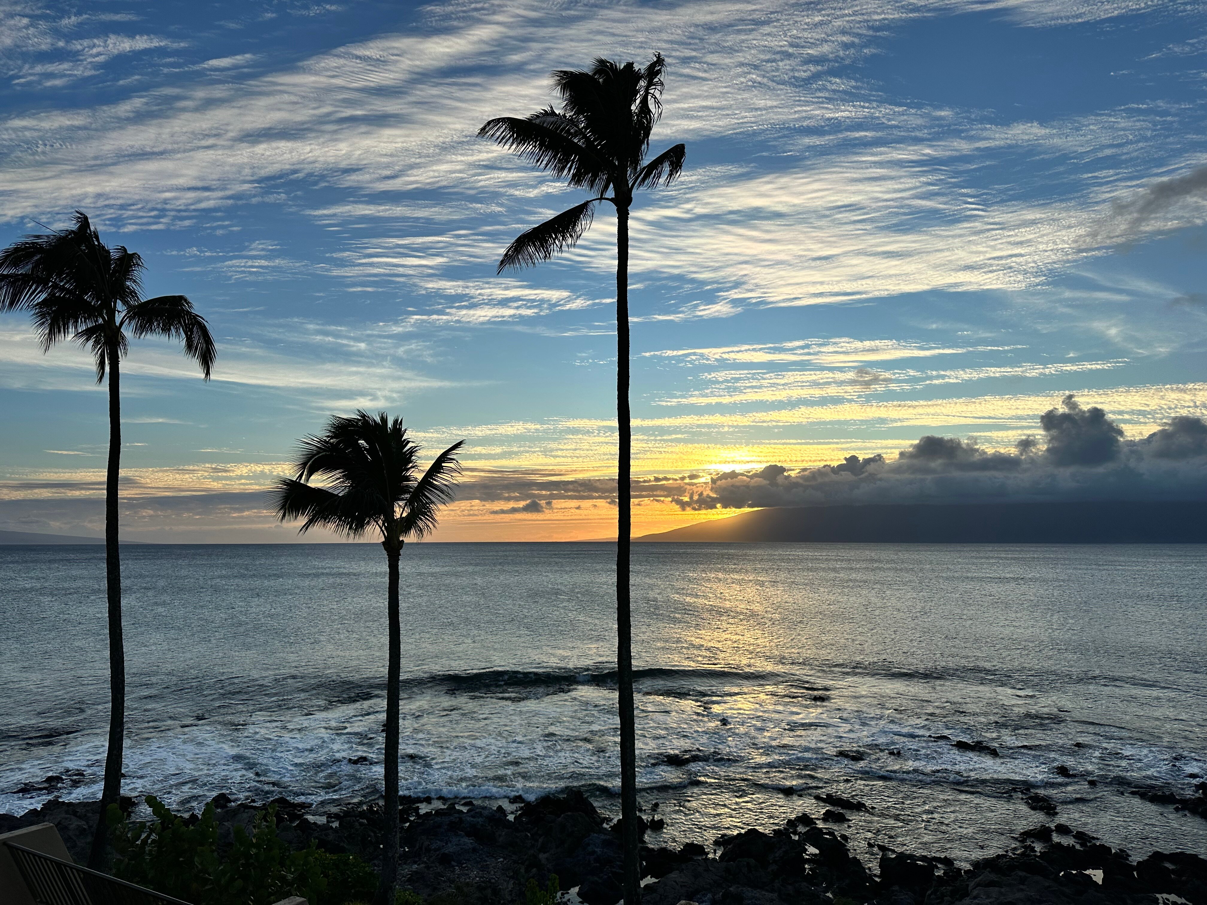 Napili Point Resort-官方
