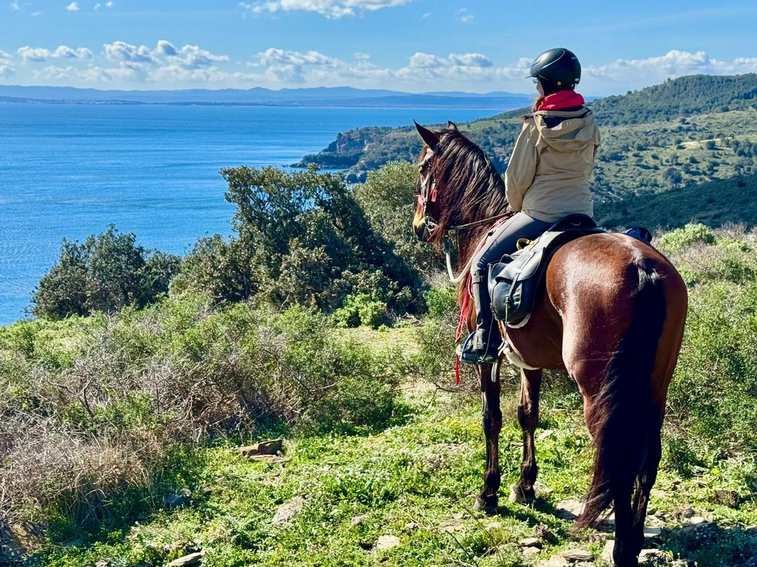 Panorama Trails-Terradelles必去景点