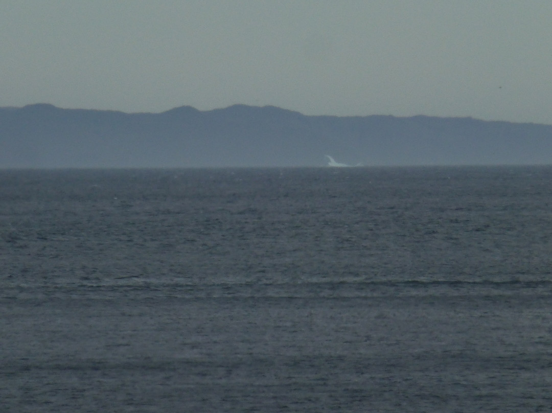 Viking Village Bed And Breakfast主图