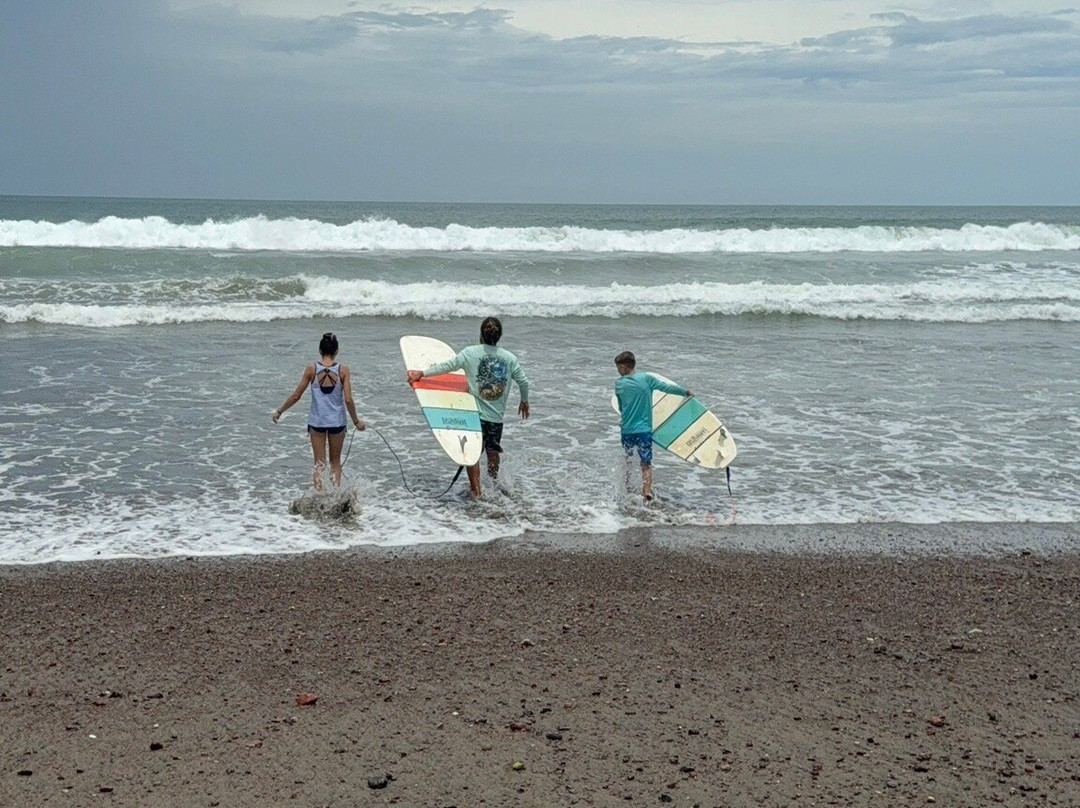 Tico Surf Lessons-哈科必去景点