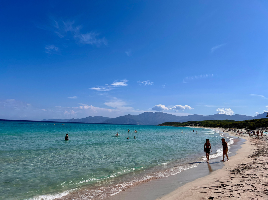 Plage de Saleccia-Santo-Pietro-di-Tenda必去景点