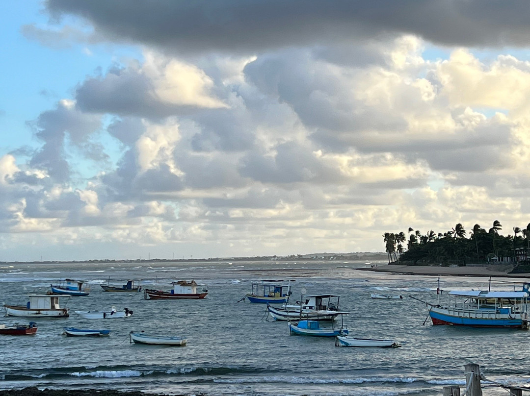 Praia do Forte Beach-Mata de Sao Joao必去景点