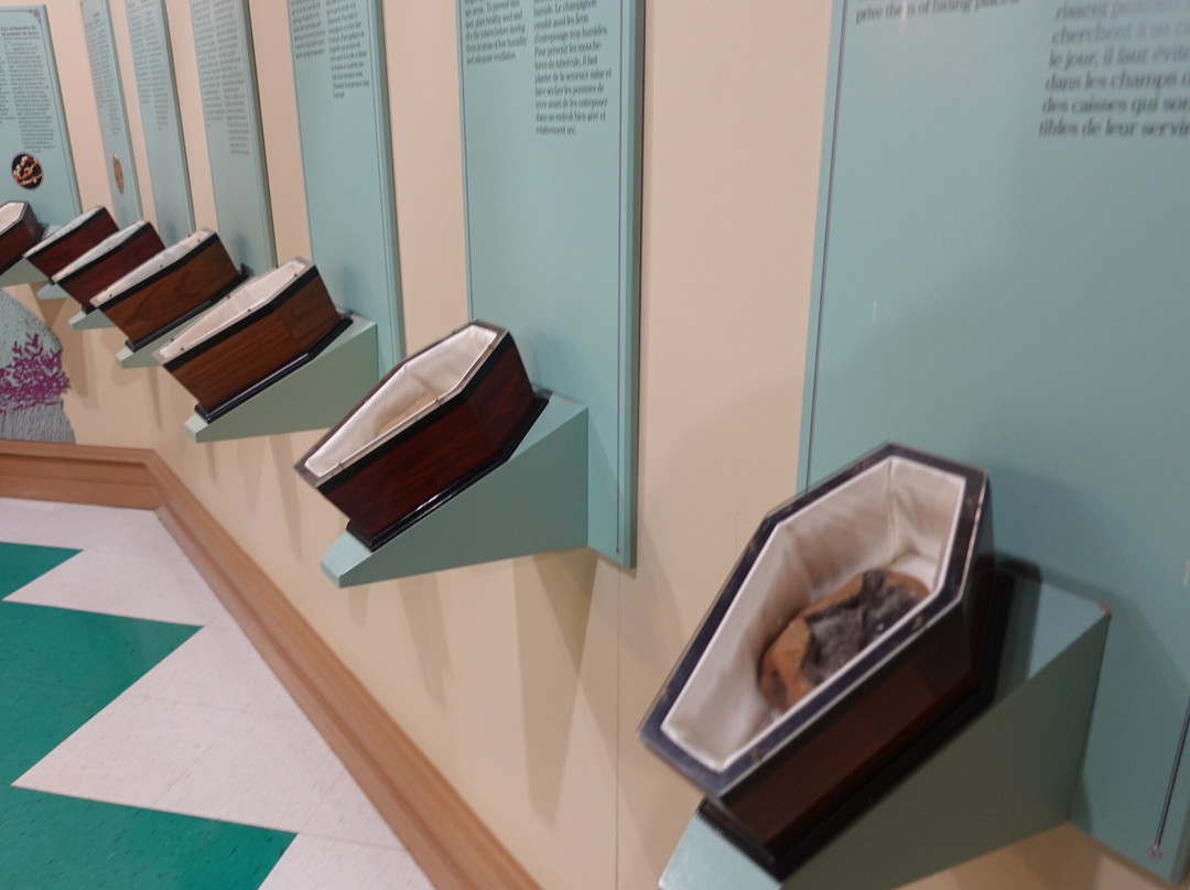 Canadian Potato Museum-O'Leary必去景点